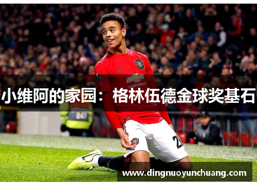 小维阿的家园：格林伍德金球奖基石